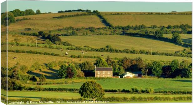 Serene Countryside Overlooking Tunnoch Park Canvas Print by Ross McNeillie