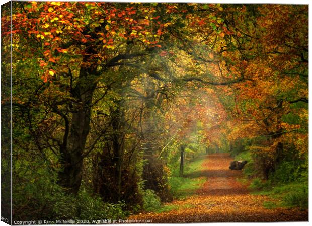 Enchanting Autumn Pathway Canvas Print by Ross McNeillie