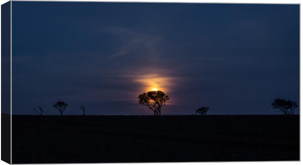 Moon set Canvas Print by Dorringtons Adventures