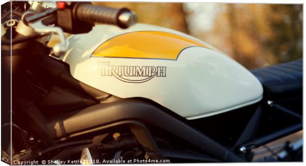 A Modern Triumph Canvas Print by Shelley Kettle