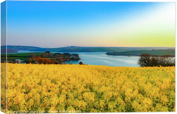 Estuary view Canvas Print by Ian Stone