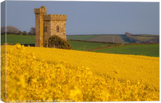 Enveloped by Yellow Canvas Print by Ian Stone