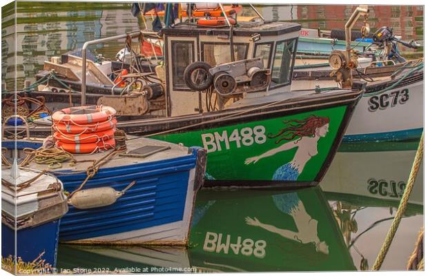 Brixham fishing boats  Canvas Print by Ian Stone