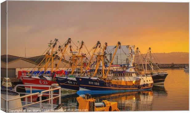 Majestic Brixham Trawlers Canvas Print by Ian Stone