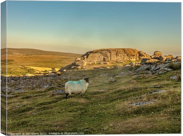 Sunset at Sheeps Tor. Canvas Print by Ian Stone