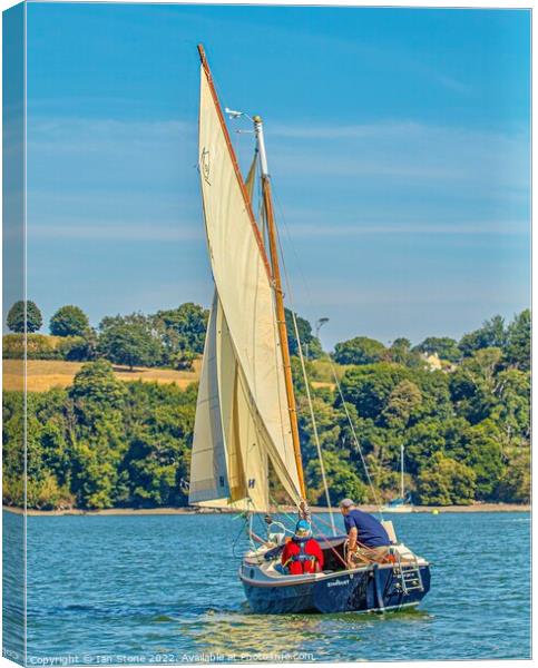 Sailing on the Dart Canvas Print by Ian Stone