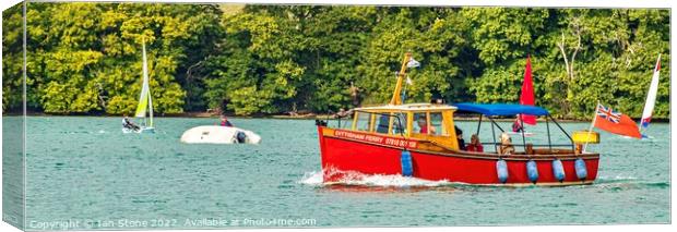 Fun on the River Dart Canvas Print by Ian Stone