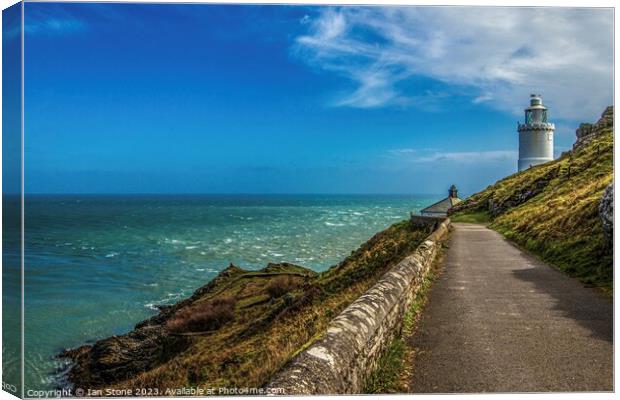 Guiding Light Canvas Print by Ian Stone