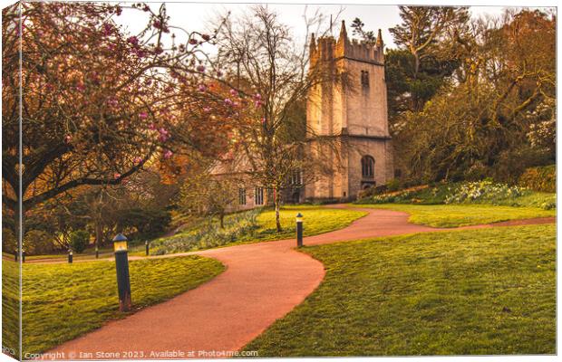 Cockington Church at Springtime  Canvas Print by Ian Stone