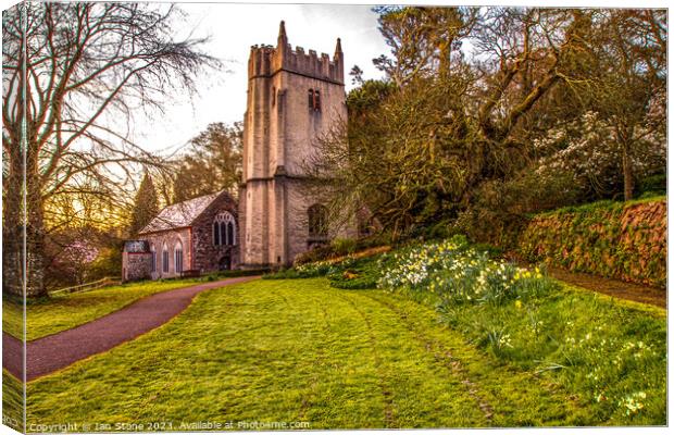 Springtime at Cockington Church  Canvas Print by Ian Stone