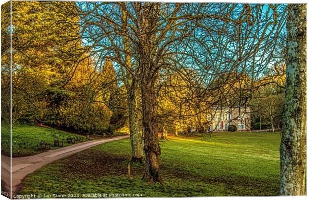 Cockington Park  Canvas Print by Ian Stone