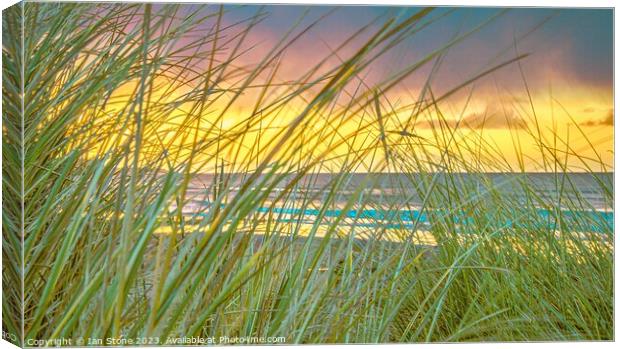 Through the sand dunes  Canvas Print by Ian Stone