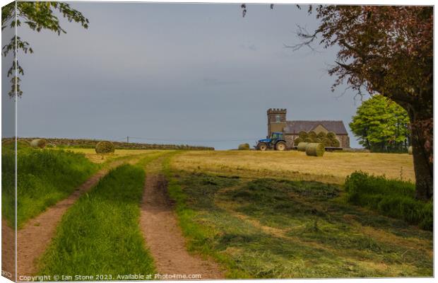 Harvest Time  Canvas Print by Ian Stone