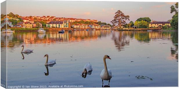 Just swanning around ! Canvas Print by Ian Stone