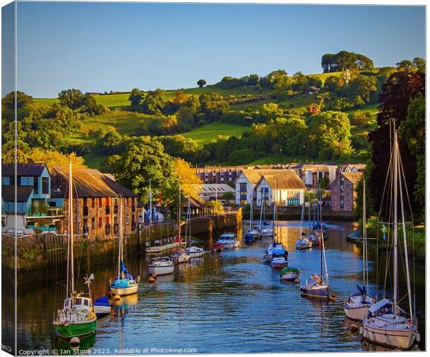 Totnes . Canvas Print by Ian Stone