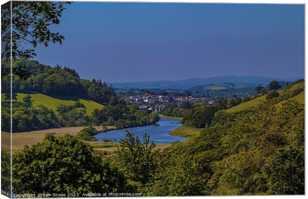 The River Dart and Totnes Canvas Print by Ian Stone