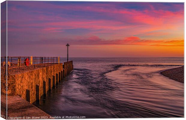 Axmouth Harbour, Seaton. Canvas Print by Ian Stone