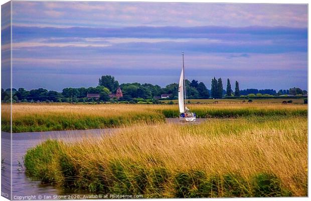 Serenity on the Norfolk Broads Canvas Print by Ian Stone