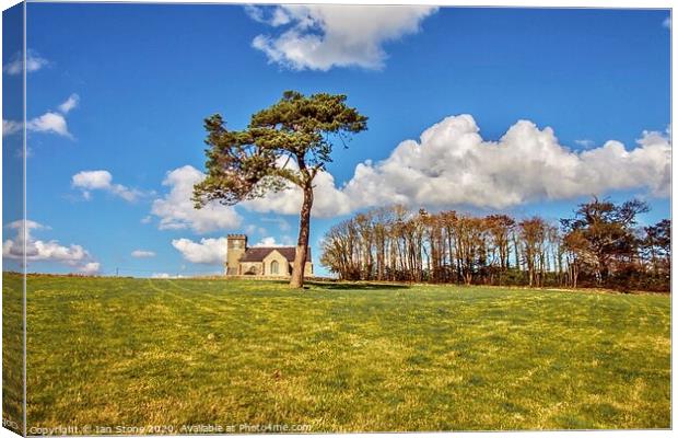 Lonesome pine  Canvas Print by Ian Stone