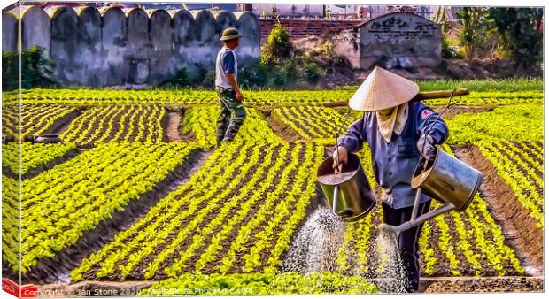 The Women of Vietnams Crop Fields Canvas Print by Ian Stone