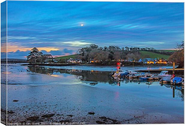 Kingsbridge estuary in Devon. Canvas Print by Ian Stone