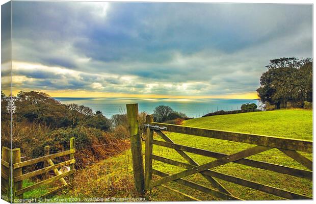 View from Strete in Devon Canvas Print by Ian Stone