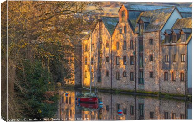 River Dart at Totnes  Canvas Print by Ian Stone