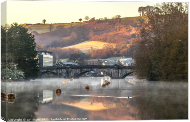 Early morning mist on the River Dart  Canvas Print by Ian Stone