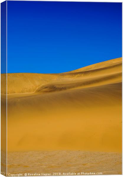 Dune 7 golden sands Namibia Canvas Print by Rosaline Napier