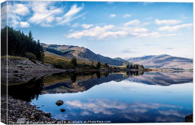 River Spey reflections Canvas Print by Rosaline Napier