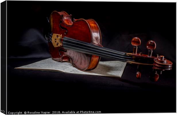 Scottish fiddle Canvas Print by Rosaline Napier