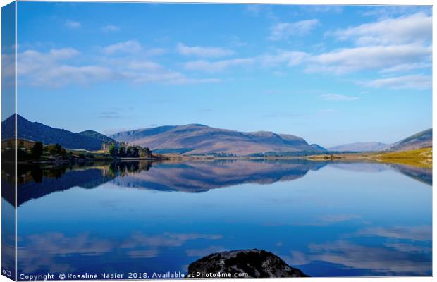 River Spey symmetry Canvas Print by Rosaline Napier