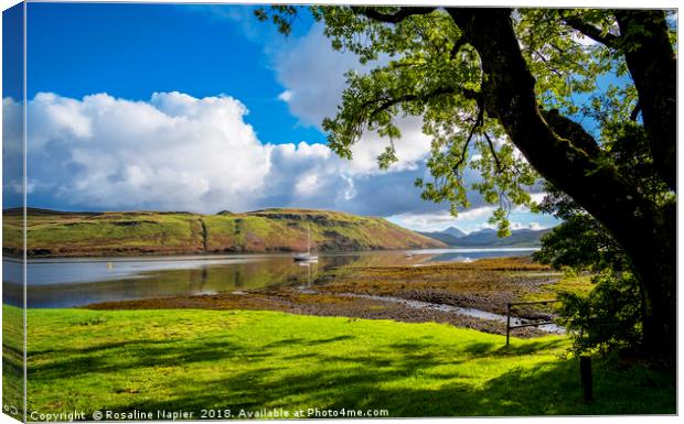 Loch Harport scene Canvas Print by Rosaline Napier