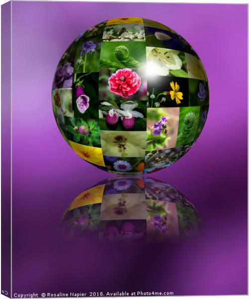 Flower montage sphere Canvas Print by Rosaline Napier