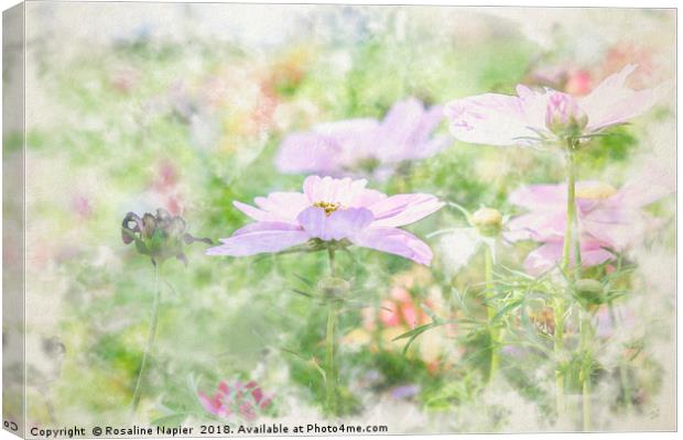 Summer wildflowers landscape Canvas Print by Rosaline Napier