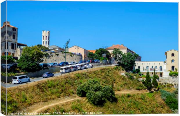 Bonifacio tourist train Canvas Print by Rosaline Napier