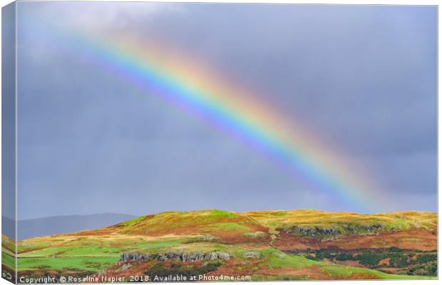 Rainbow through the rain Skye Canvas Print by Rosaline Napier