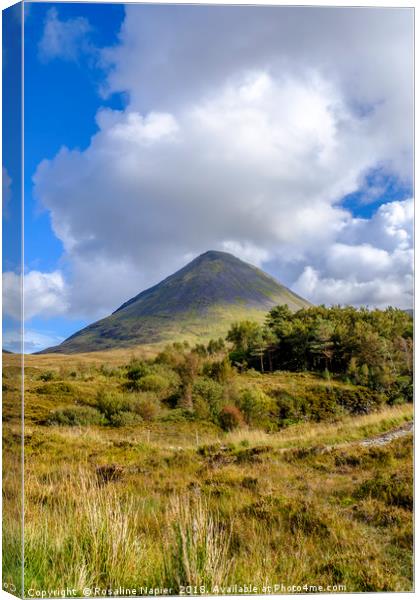 Cone shaped Glamaig Skye Canvas Print by Rosaline Napier