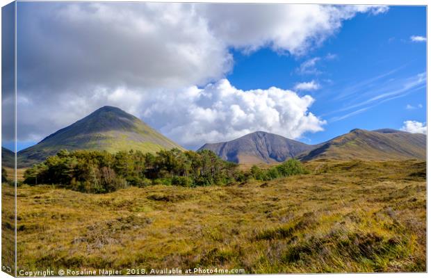 Glamaig and Red Hills Skye Canvas Print by Rosaline Napier