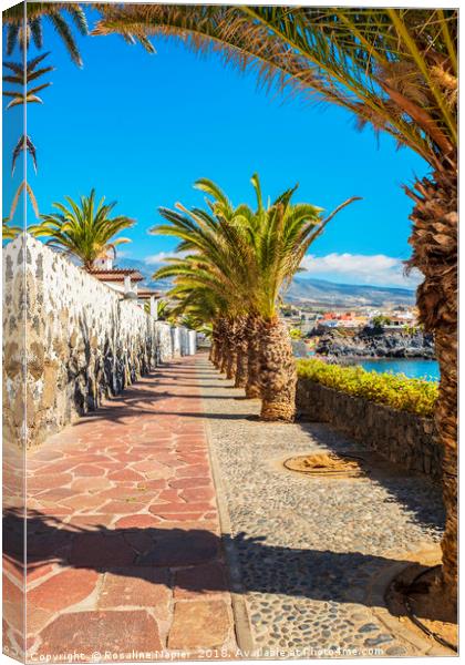 Sunny promenade in Alcala Tenerife Canvas Print by Rosaline Napier