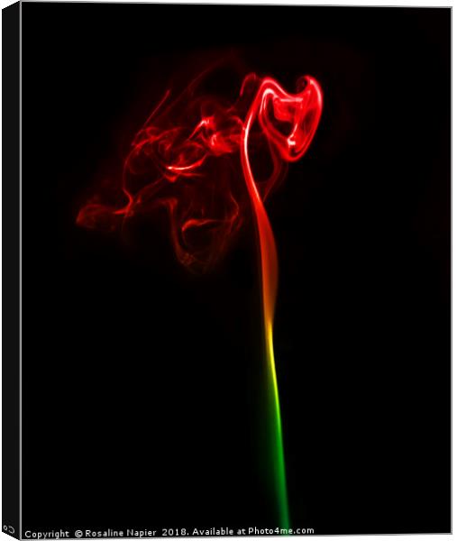 Smoke alien abstract Canvas Print by Rosaline Napier