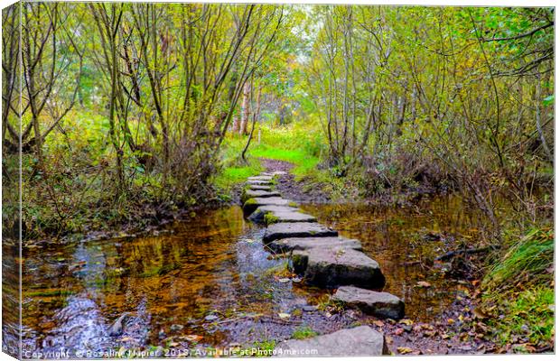 Stepping stones Newtonmore Canvas Print by Rosaline Napier