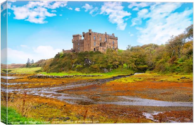 Dunvegan Castle Skye Canvas Print by Rosaline Napier