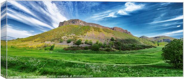 Salisbury Crags, Edinburgh Canvas Print by Rosaline Napier