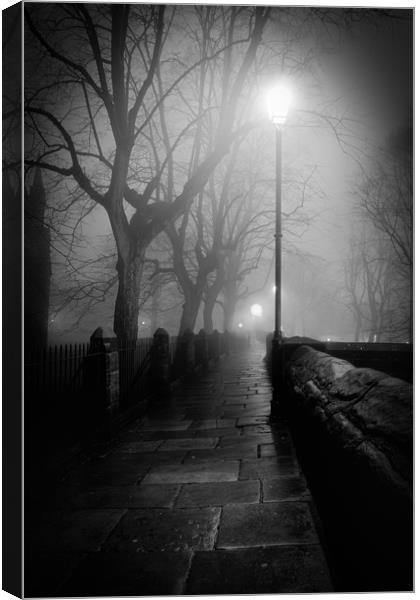 The Misty Walk - Black and White Canvas Print by Mike Evans