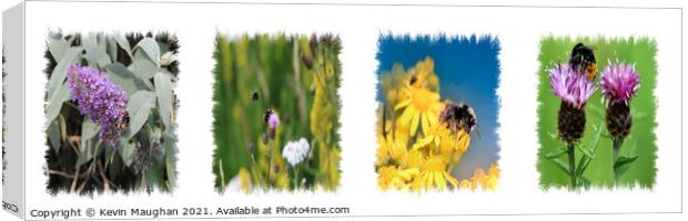 Buzzing Garden Oasis Canvas Print by Kevin Maughan