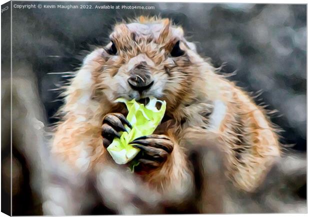 Black Tailed Prairie Dog (Digital Art) Canvas Print by Kevin Maughan