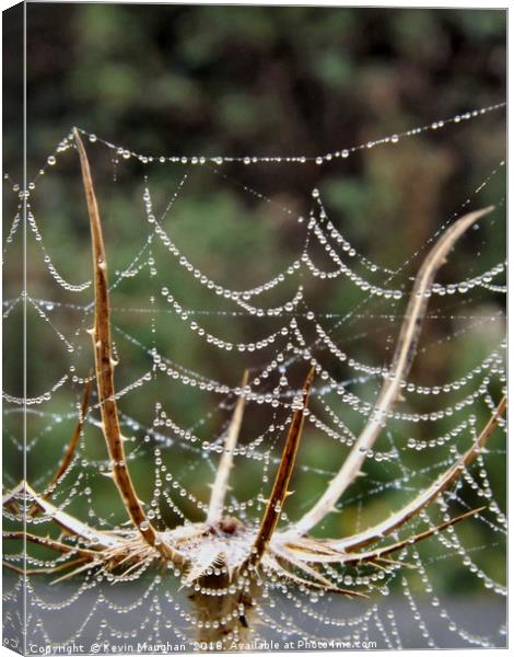 Spiders Web Canvas Print by Kevin Maughan