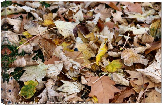 Autumn Leaves On The Ground Canvas Print by Kevin Maughan