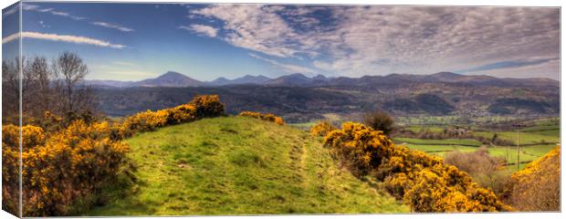 Snowdonia, The Picnic Spot of Dreams - Panorama Canvas Print by Philip Brown